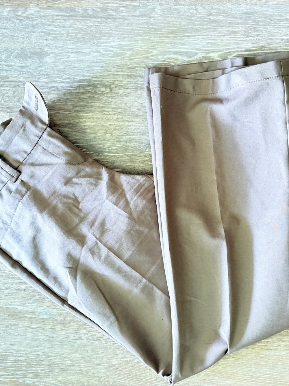 Ann Taylor Beige/Tan Women's Tailored Dress Trousers
